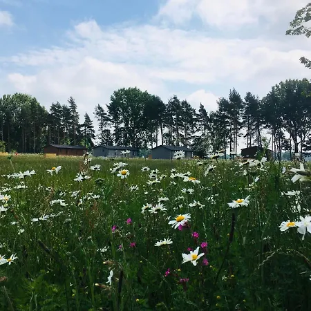 Hébergement de vacances Hollicarrs - Wildflower *