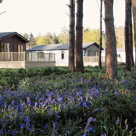 別荘 Hollicarrs - Wildflower *