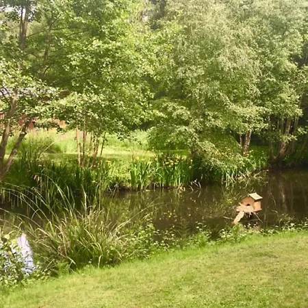 Hollicarrs - Wildflower * York