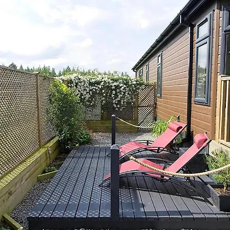 Hollicarrs - Wildflower