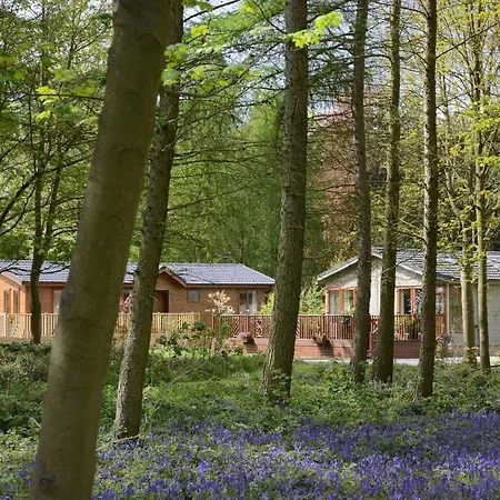 Holiday home Hollicarrs - Wildflower York