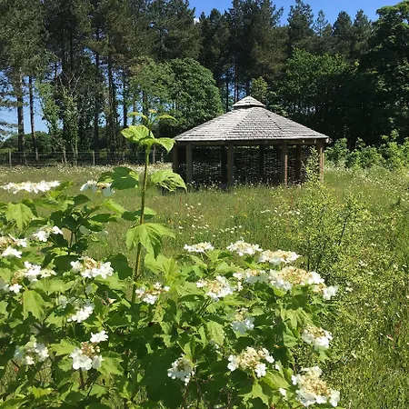 Hollicarrs - Wildflower Holiday home *
