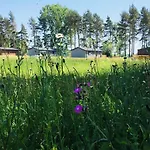 Hollicarrs - Wildflower