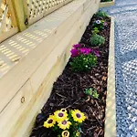 Hollicarrs - Wildflower *