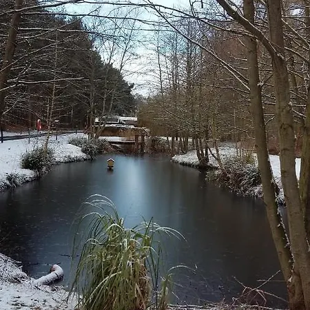 Hollicarrs - Wildflower