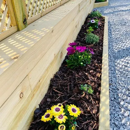 Hollicarrs - Wildflower *