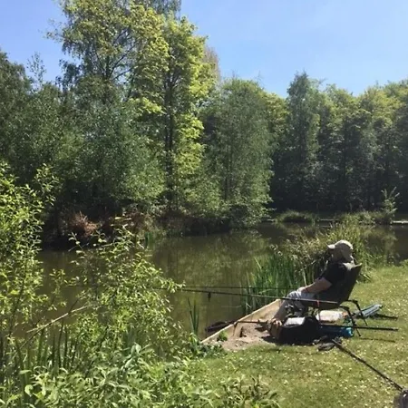 Hollicarrs - Wildflower *