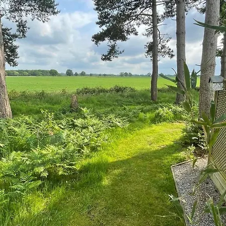 Hollicarrs - Wildflower